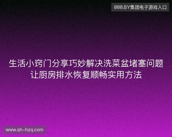 生活小窍门分享巧妙解决洗菜盆堵塞问题让厨房排水恢复顺畅实用方法